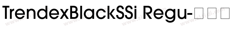 TrendexBlackSSi Regu字体转换